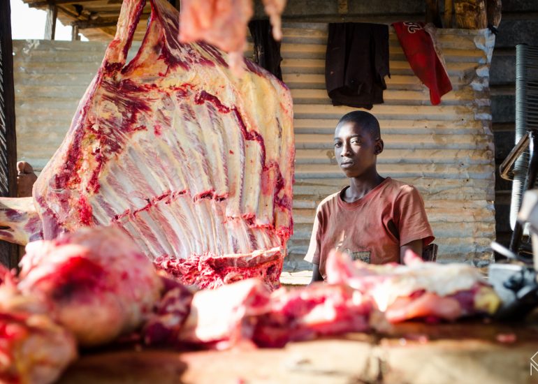 african butcher's - abbatoire-maroc