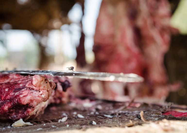 african butcher's - abbatoire-maroc