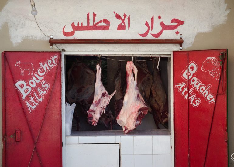 african butcher's - abbatoire-maroc