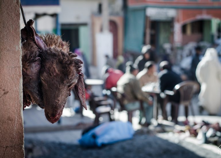 african butcher's - abbatoire-maroc