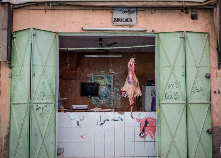 african butcher's - abbatoire-maroc
