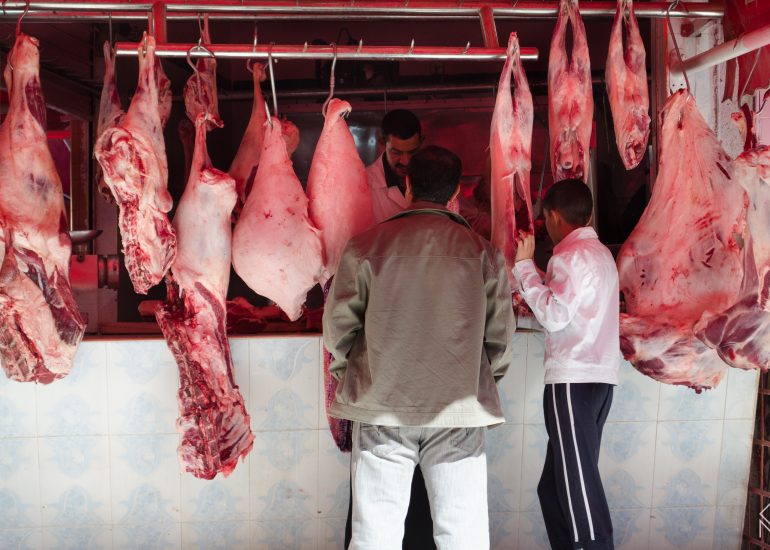 african butcher's - abbatoire-maroc